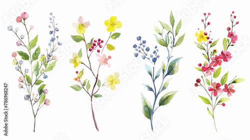 Four Branches with Flowers Leaves and Berries. Hand dr