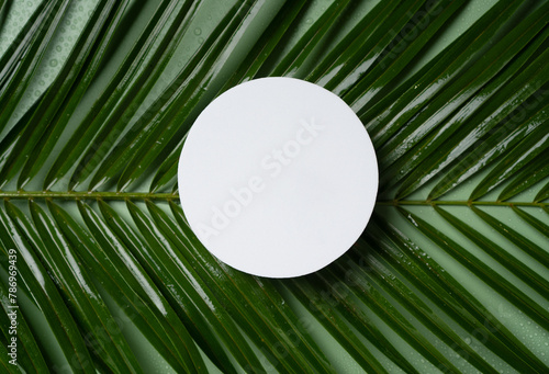 Minimal cosmetics product presentation scene made with green plant branch and white circle shape for product placement. Flat lay background.