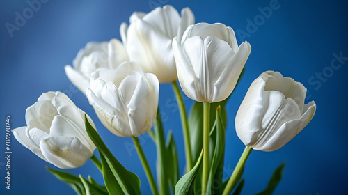A bunch of white tulips on a blue background