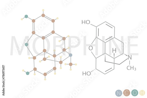 Tableau sur toile morphine molecular skeletal chemical formula