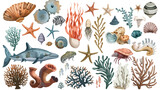 Underwater creatures and objects Colored vector set