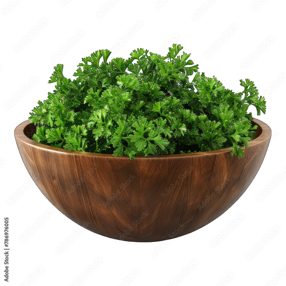 Parsley in a wooden bowl isolated on transparent background Parsley in a wooden bowl isolated on transparent background