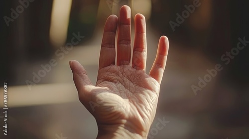 One palm of a human hand photo