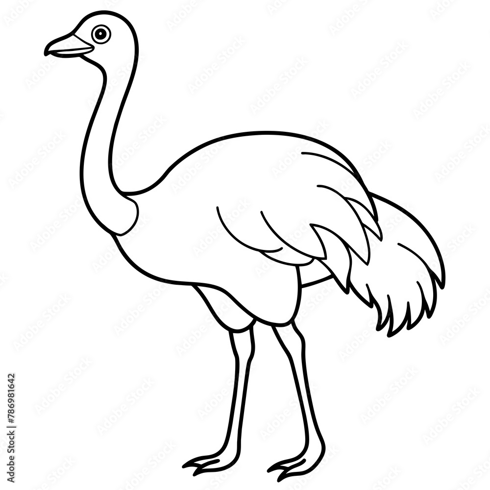 Fototapeta premium ostrich isolated mascot,ostrich silhouette,ostrich vector,icon,svg,characters,Holiday t shirt,black ostrich drawn trendy logo Vector illustration,ostrich line art on a white background