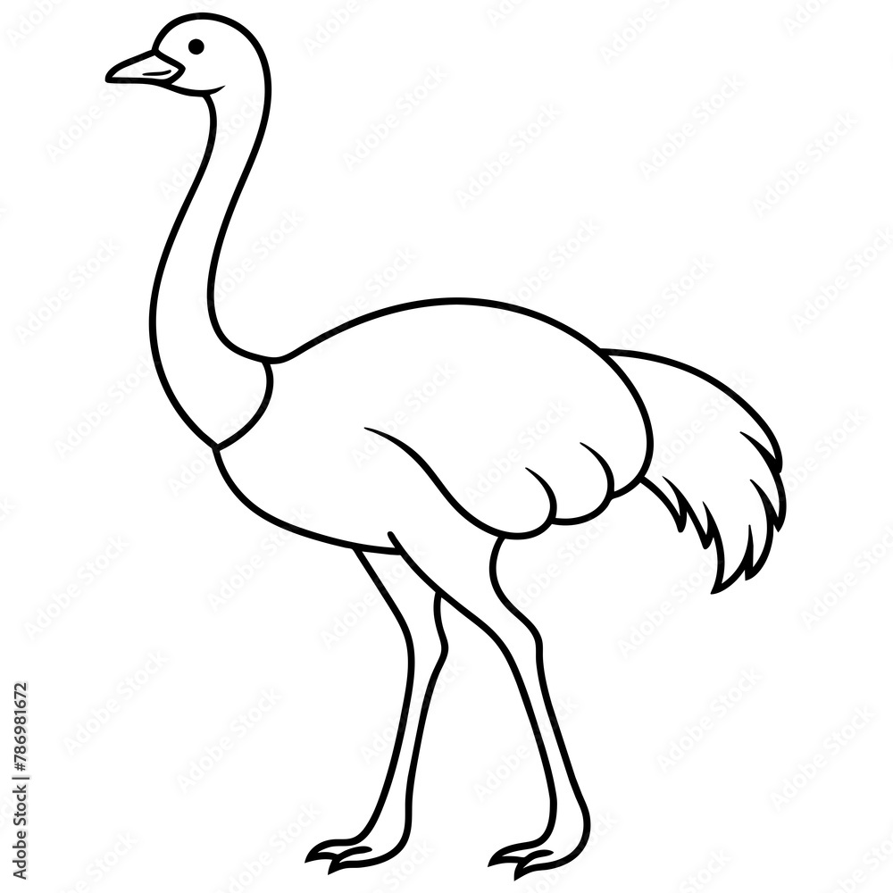 Obraz premium ostrich isolated mascot,ostrich silhouette,ostrich vector,icon,svg,characters,Holiday t shirt,black ostrich drawn trendy logo Vector illustration,ostrich line art on a white background