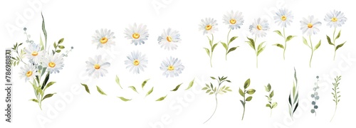 Watercolor Daisy floral illustration, Chamomile spring flowers clipart, Wildflower arrangement and summer wreath, Wedding invitations photo