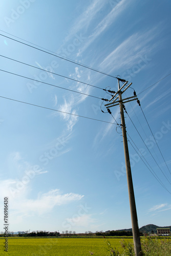 View of the electricity pole in the rice field