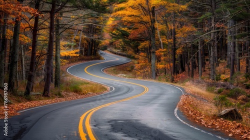 A winding road curves through autumn trees in New England