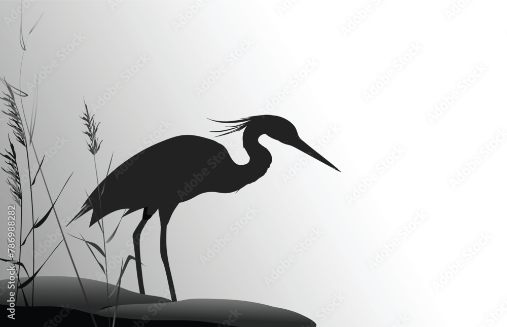 Fototapeta premium Heron in the thickets of reeds stands next to a group of stones. Silhouette vector illustration.