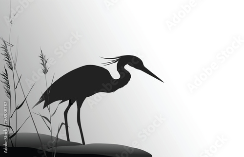 Heron in the thickets of reeds stands next to a group of stones. Silhouette vector illustration.