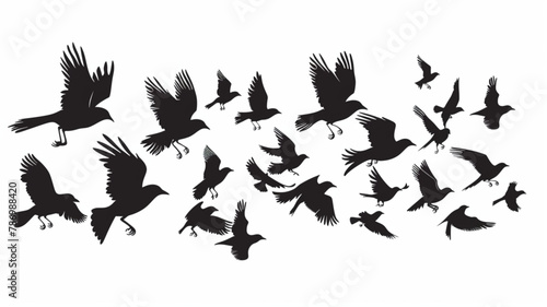 group of flying birds silhouette illustration Vector