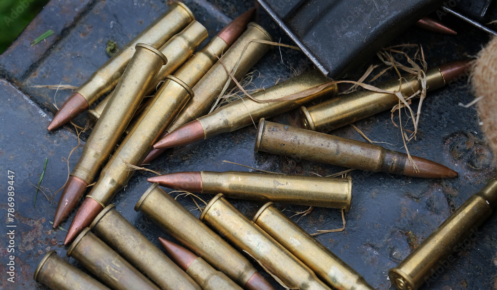 Dummy machine gun and rifle rounds and magazines for display purposes. Dummy machine gun and rifle rounds and magazines for display purposes.