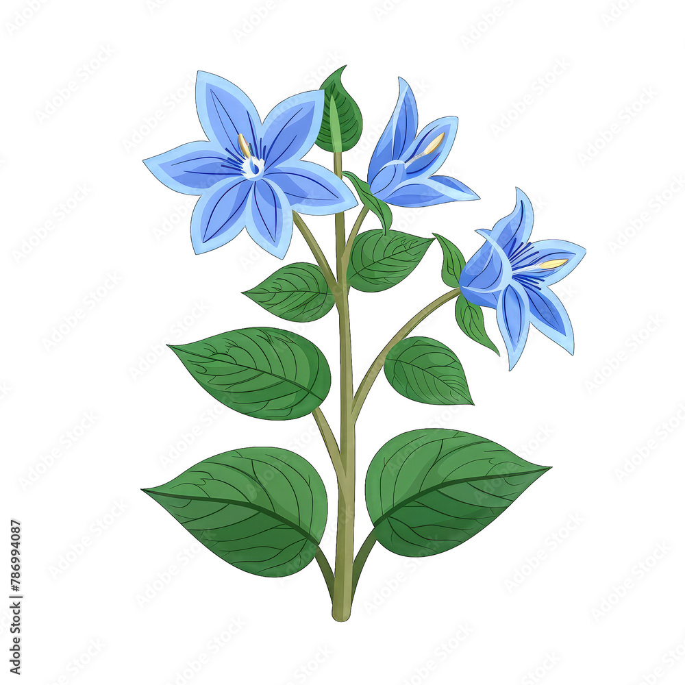 Minimalist Flat Vector Illustration of Borage Plant on White Background - Simple and Elegant Design for Various Creative Projects