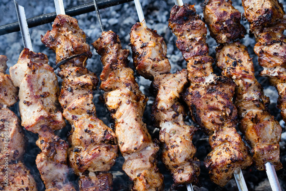 Pork pieces on coals. Pieces of grilled meat on skewers are cooked on hot coals.A barbecue party in nature. Baked pork meat cooked on the grill. Close-up, top view.