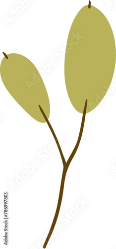 Autumn plant