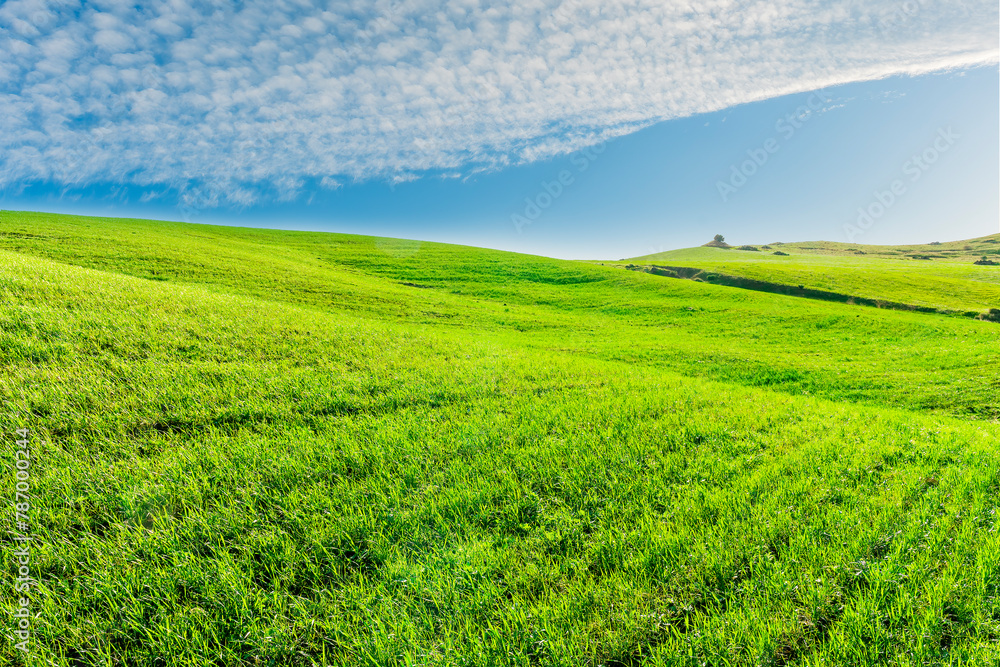 panoramic farmland landscape with green spring field , salad and yellow hills, garden and grassland and beautiful cloudy sky.