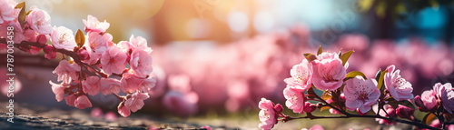 Pink petaled flowers branches with green leaves on nature background with blurred trees, bokeh lights and blue sky. Almond or cherry tree blooming on warm sunny spring day. Blossom months and season. photo