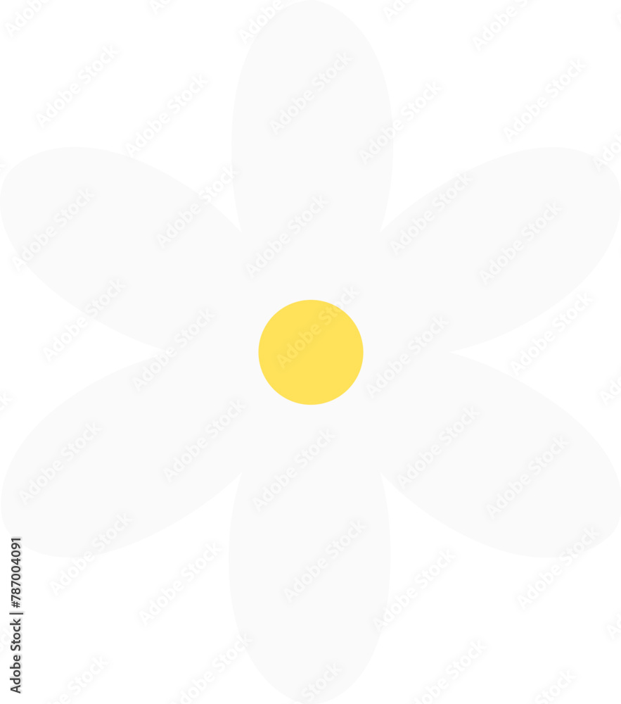 Daisy flower petal