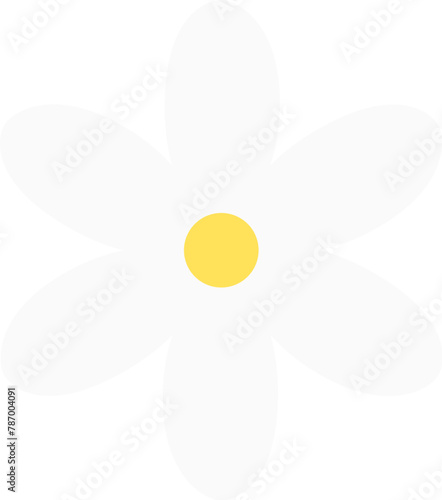 Daisy flower petal