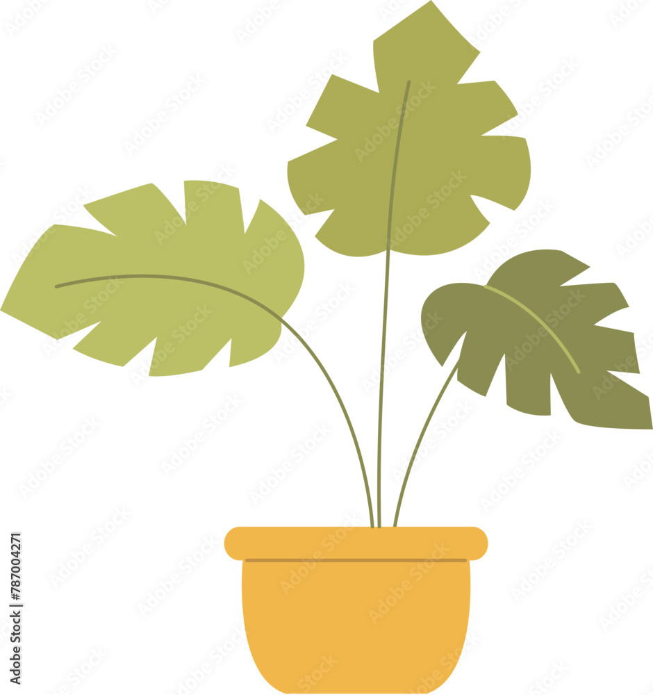 Obraz premium Green plant in the yellow flowerpot