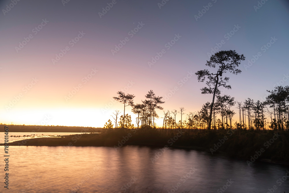 Fototapeta premium Forest landscape. Autumn nature. Sunshine in forest.Path in natural park with autumn trees.