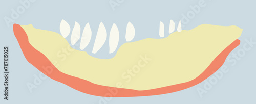 Melon (with seeds), hand drawn, cartoon styled, isolated on blue background (backdrop). Food. Vector illustration.