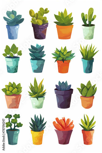 Set of twelve vector illustrations of succulents