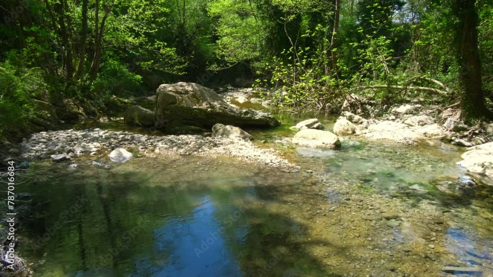River in the forest with a small waterfall in the mountains River in the forest with a small waterfall in the mountains