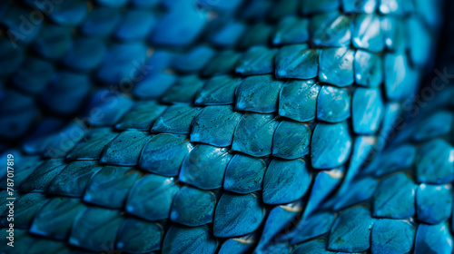 Close-up of vibrant blue snake scales, detailed reptile skin texture, shallow depth of field. photo
