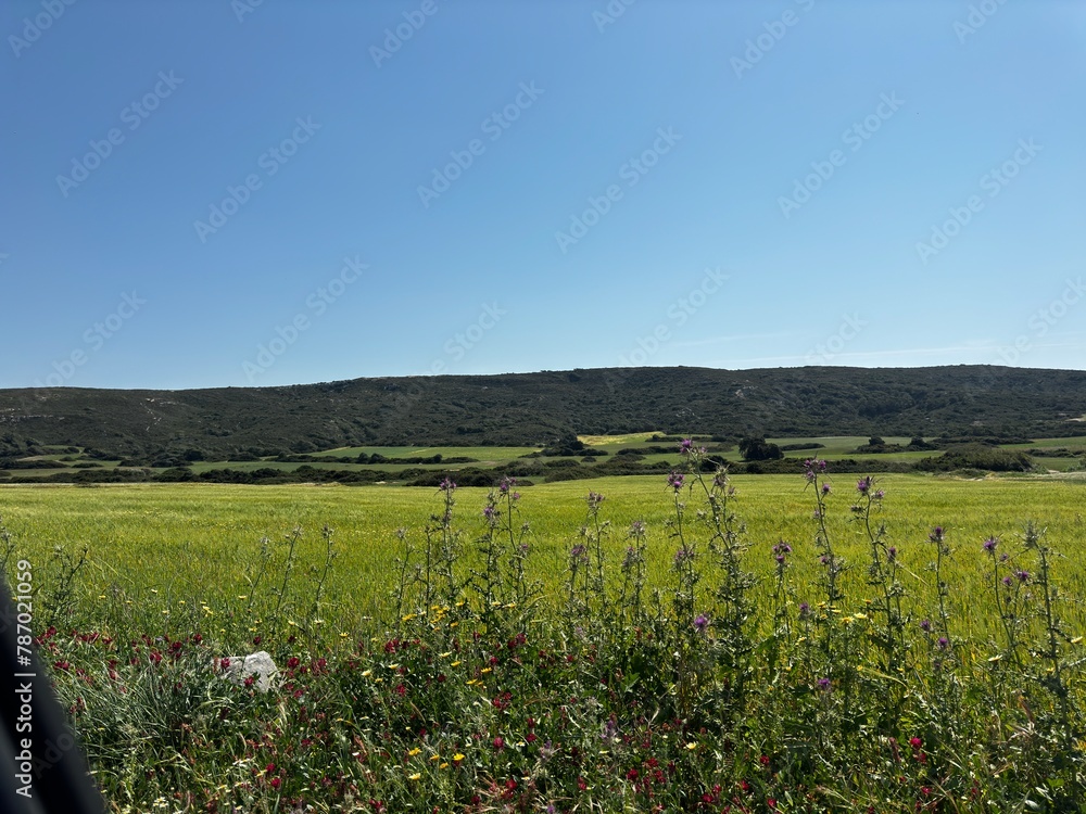 Fototapeta premium Rhodes Island, Greece 