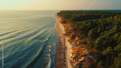 Curonian Spit wth Baltic sea coastline on sunset. Kurshskaya kosa national park near Zelenogradsk. Kaliningrad region. Aerial view photo