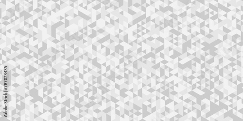 Vector geometric seamless technology gray and white triangle background. Abstract digital grid light pattern white Polygon Mosaic triangle Background, business and corporate background.