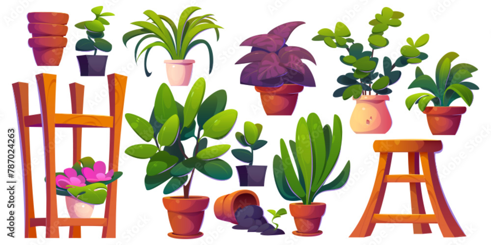 Obraz premium Greenhouse and gardening elements. Cartoon vector illustration set of pants in pot, wooden rack and chair, empty flowerpots. Glasshouse or conservatory room interior houseplants and greenery.