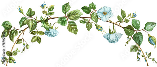 a close up of a branch of a plant with blue flowers