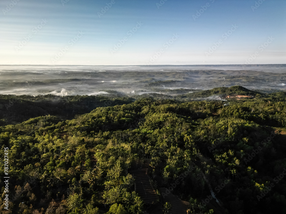 Aerial wide view of Dense natural forest trees on the mountain hills with morning mist. Misty and Foggy Jungle. Concept for International Day of Forest, World Environment Day.