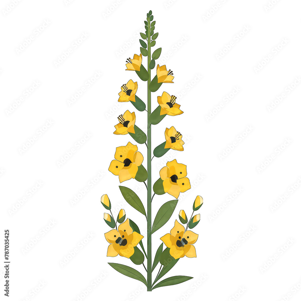 Minimalistic Flat Vector Illustration of Mullein Plant on White Background with Simple Cute Design and Transparent Cut Out - Ideal for Various Creative Projects