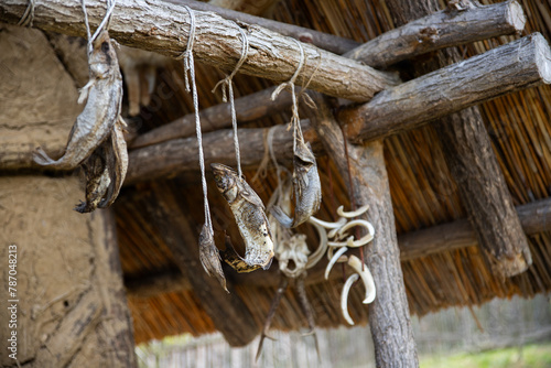 Air dried fish at ancient fisherman village © ArtmediaworX