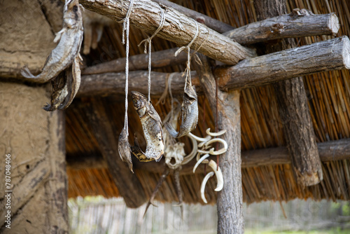 Air dried fish at ancient fisherman village © ArtmediaworX