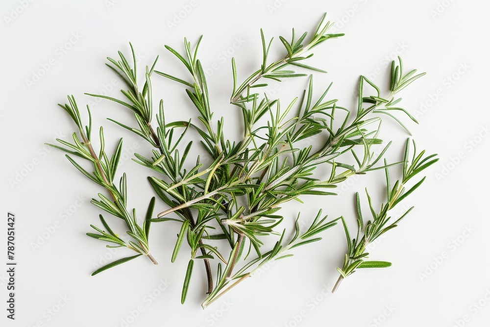 An overhead shot of fresh rosemary scattered randomly on a white surface, creating a natural and organic look. An overhead shot of fresh rosemary scattered randomly on a white surface, creating a natural and organic look.