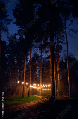Pine tree forest with yellow glowing lamps