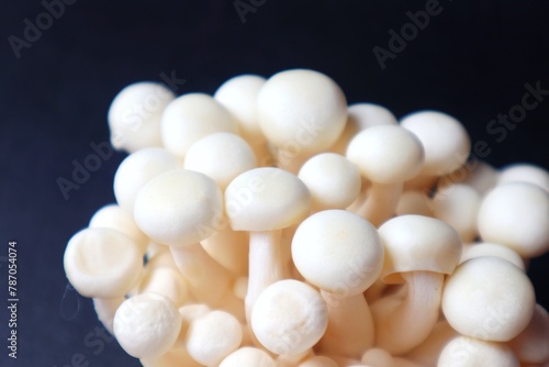Bunapi-shimeji or white shimeji mushroom (Hypsizygus tessulatus), dark background. It is a mushroom that can be eaten. photo
