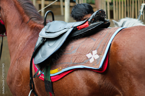 Horse saddle on brown horse
