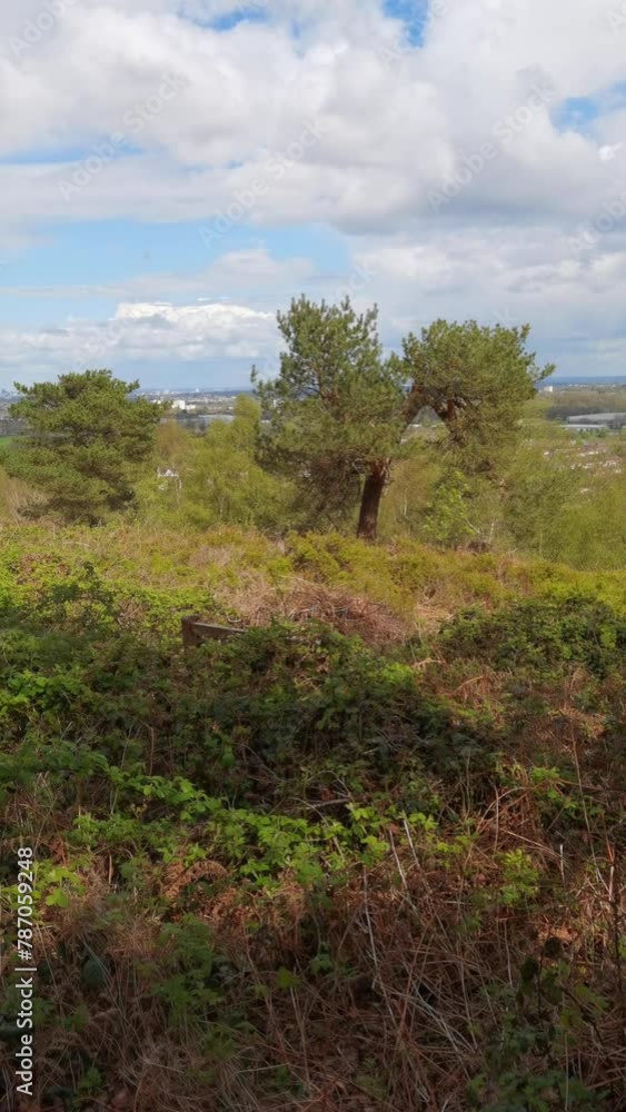 Vertical Video - Lickey hills country Park Heathland and forest WEst Midlands England UK. Vertical Video - Lickey hills country Park Heathland and forest WEst Midlands England UK.