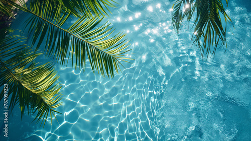 top view of swimming pool with palm leaf © Tida