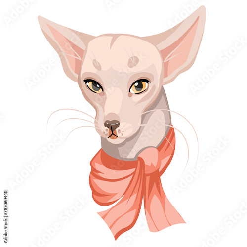 fashionable cat girl with pink scarf, vector portrait on white background