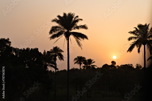 Puesta de sol sobre siluetas de palmeras en Sierra Leona