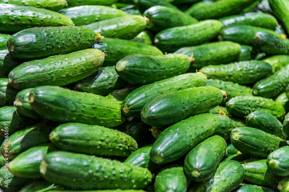 Pile of fresh cucumbers in market Pile of fresh cucumbers in market