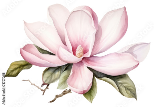 PNG Blossom flower magnolia petal. AI generated Image by rawpixel.