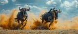 Two wildebeest, pack animals, are galloping across a dusty landscape under the open sky. The terrestrial animals move with grace and power in their natural habitat