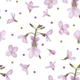 Watercolor pattern of pink spring flowers on a white background 